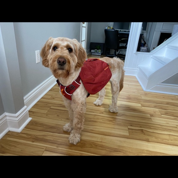 Meet your Posher, Nicolle (📍Halifax, NS) - Picture 4 of 8